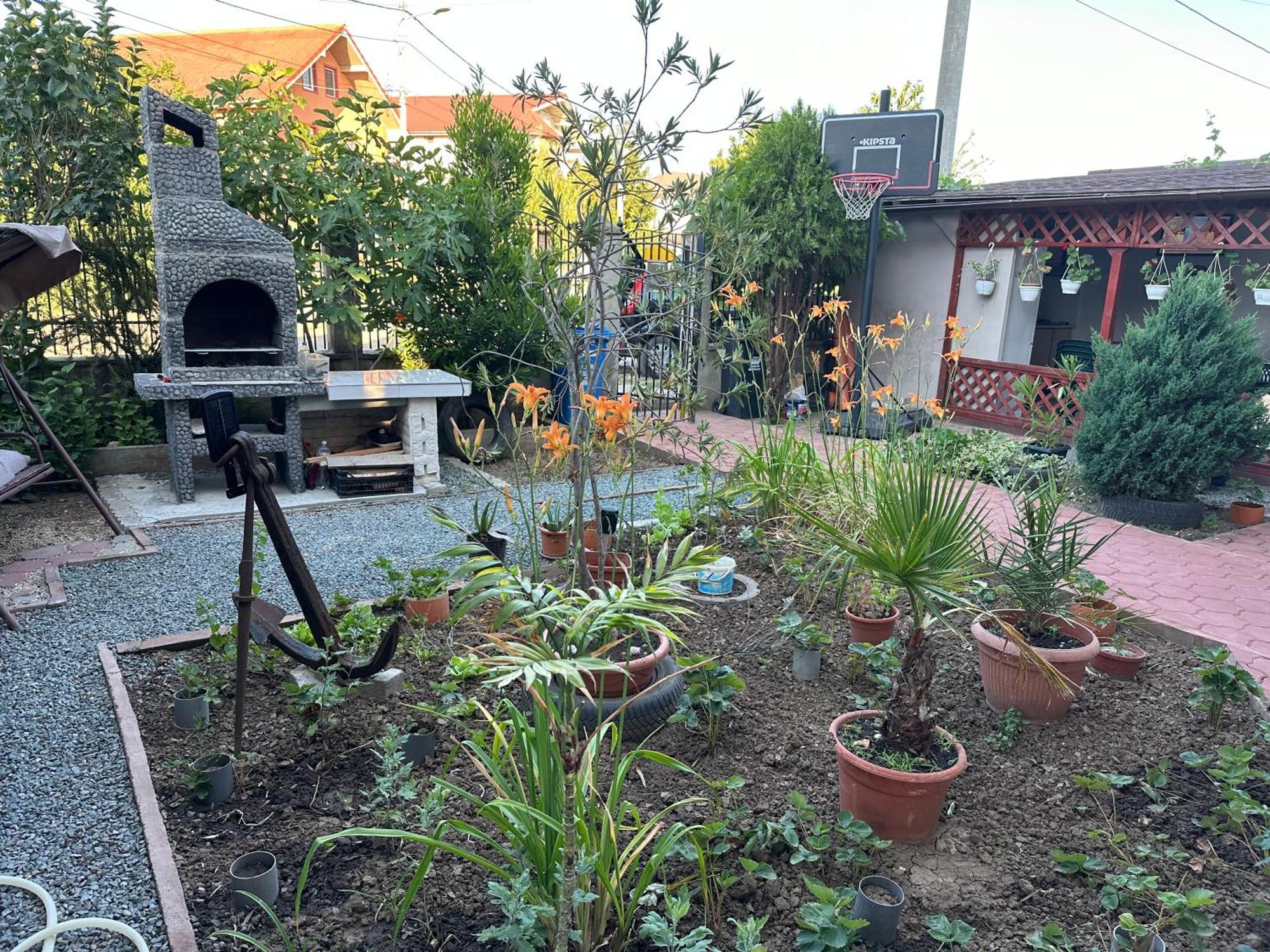 דירות אפורי נורד Casa Vio Parter מראה חיצוני תמונה